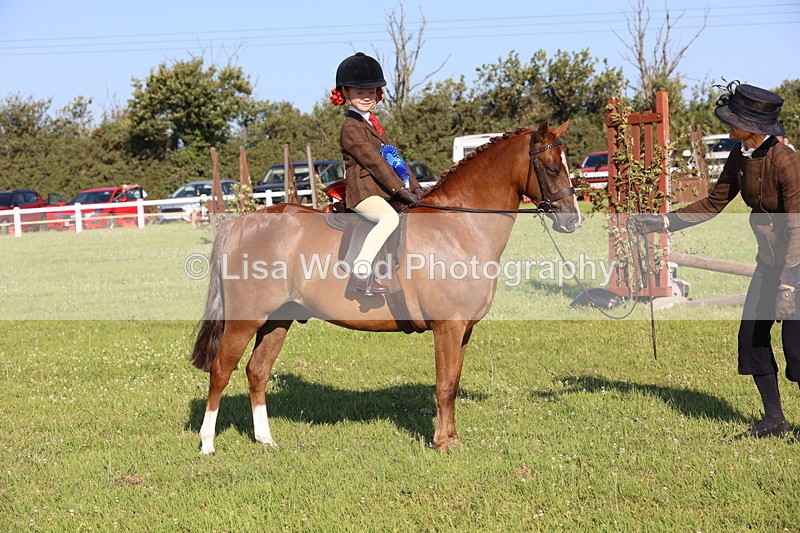 JPP_0887 - Class 16: Cornish Combination Leading Rein