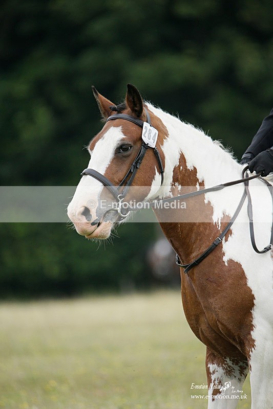 BVRC 030721 76 - Bourne Valley Riding Club Dressage 03/07/21