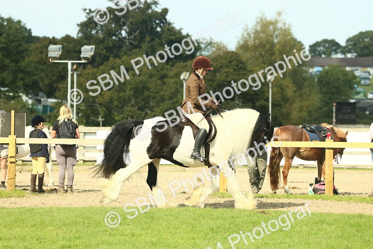 SBM_68781 - S58 - Mini Show Cob Ridden