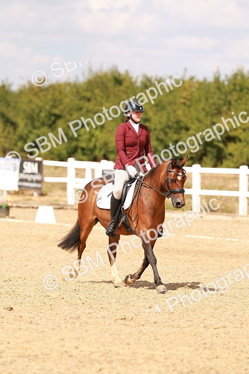 SBM_018615 - Class 9 - N5 Bronze 11.57.13.07