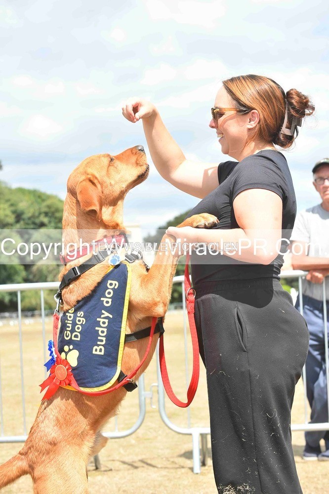 SH4_0265 - Dog show.