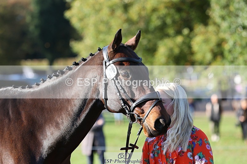 241027-092756-15314 - 420-Pip.Howarth-OTTAVA