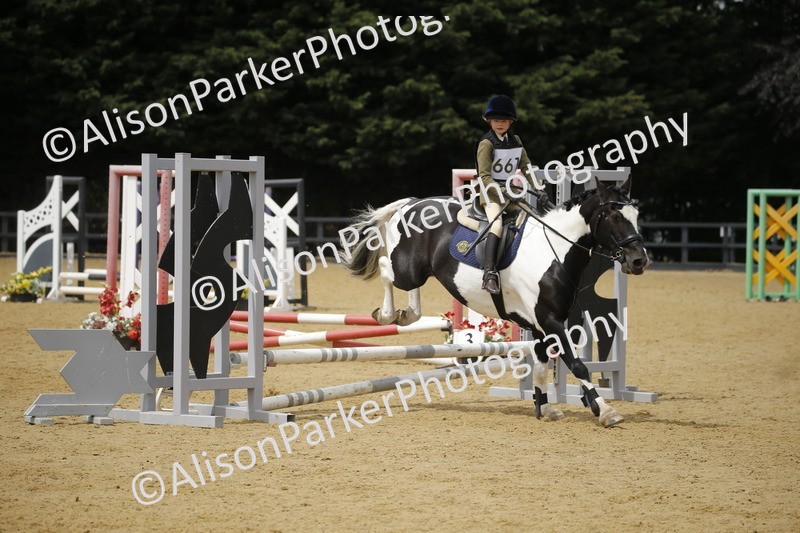 20250622-4755 - 50cm