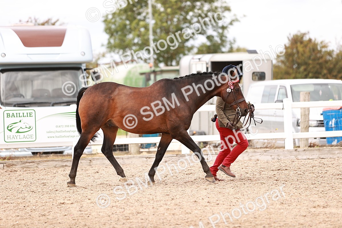 SBM_16271 - Class 413 - Best Condition - Adult