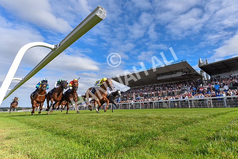 140824-Race 6-Glistening Nights-3494 - Race 6