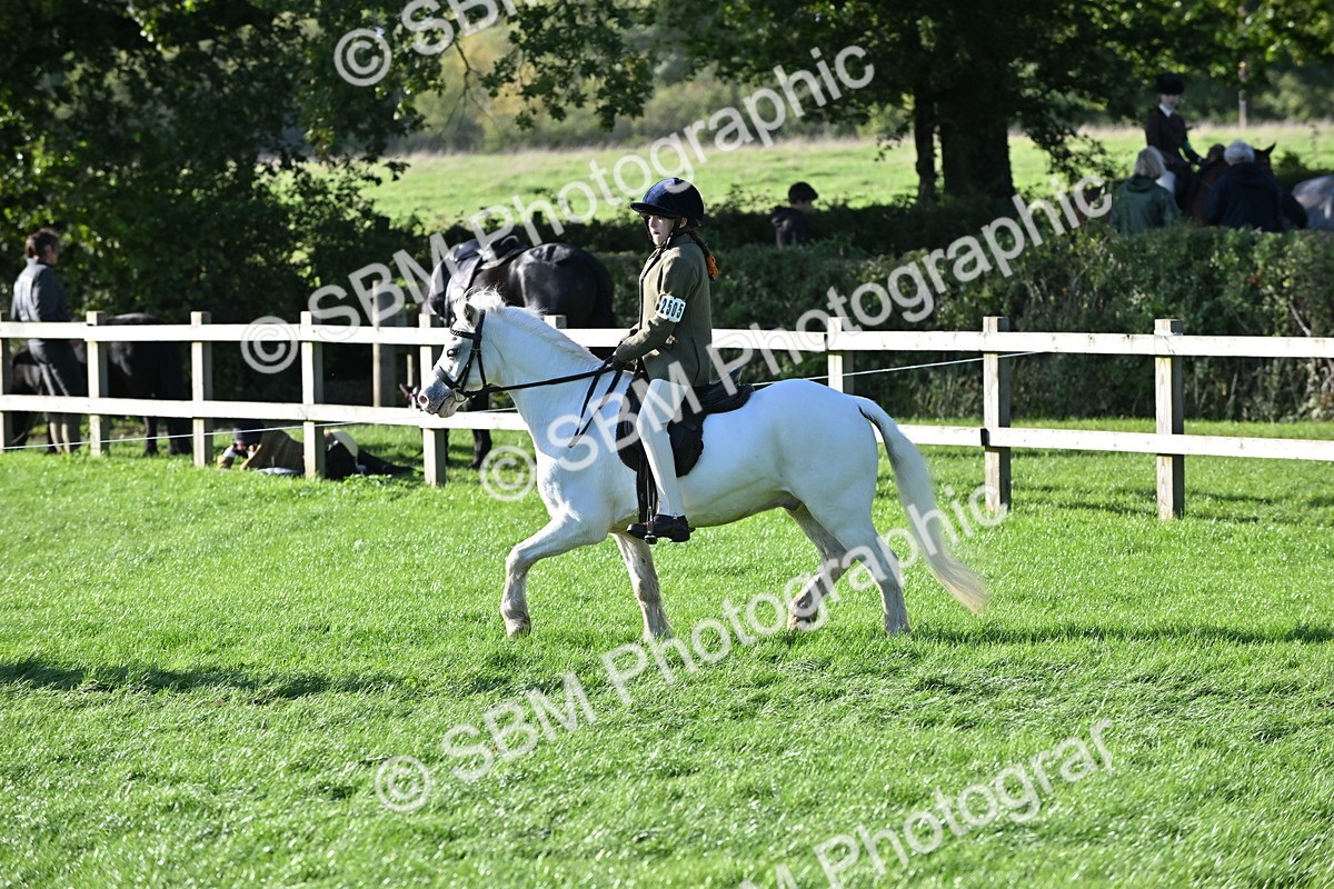 SBM_53008 - S23 - First Ridden Mountain & Moorland Pony