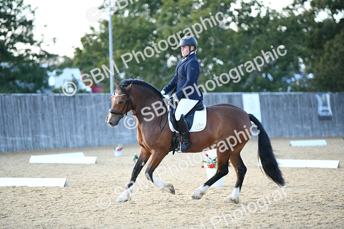 SBM_30944 - D16 - Small Tour Championship - Novice 28