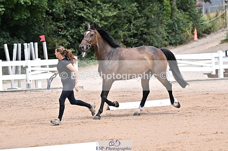 250716-125834-00257 - Trot Up 12.30 to 1.30