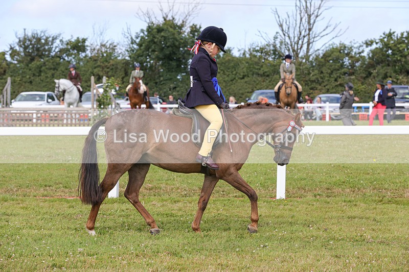 1X9A3825 - Plaited Mini Ridden Championship