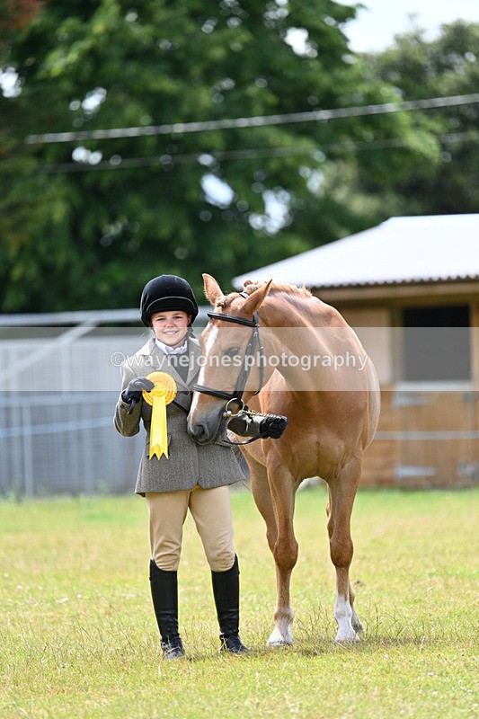 WJ7_6718 - Class 5 Handsome Gelding in hand