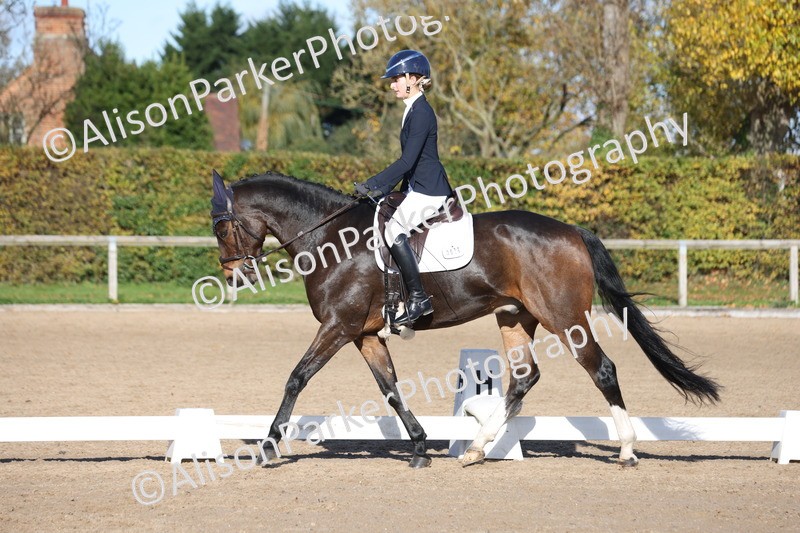 20251102-0731 - Class 4 - Novice 6