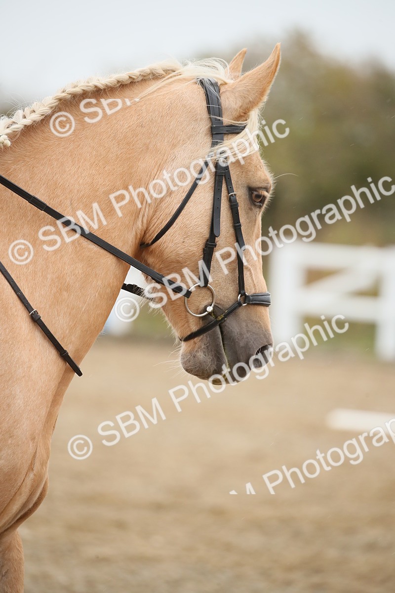 SBM_001113 - Prelim A-PYO