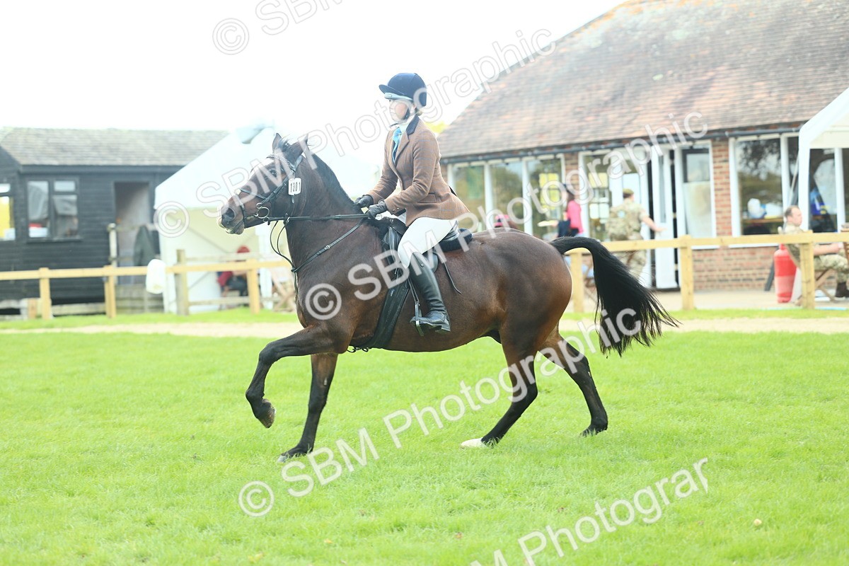 SBM_43017 - S30 - M&M Working hunter Pony