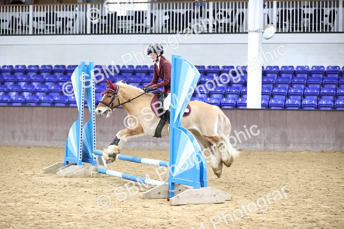 SBM_000205 - Class 2 - 50cm