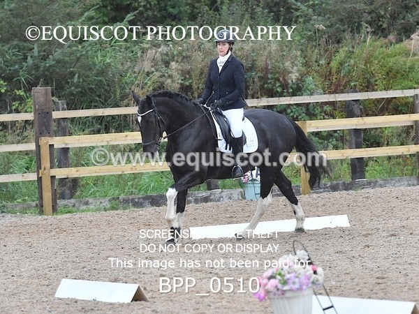 BPP_0510 - ELEM 6 & 4