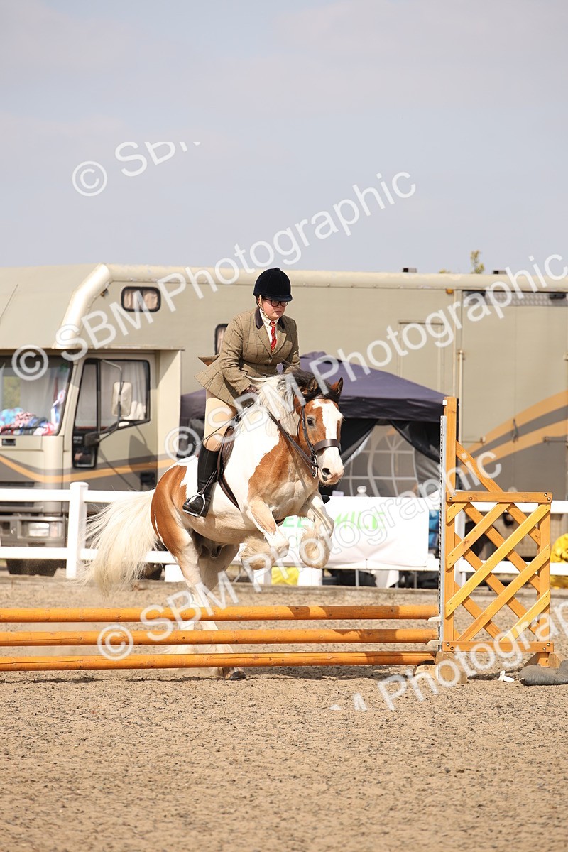 SBM_14285 - Class 407b - Working Veteran 60cm (20+)