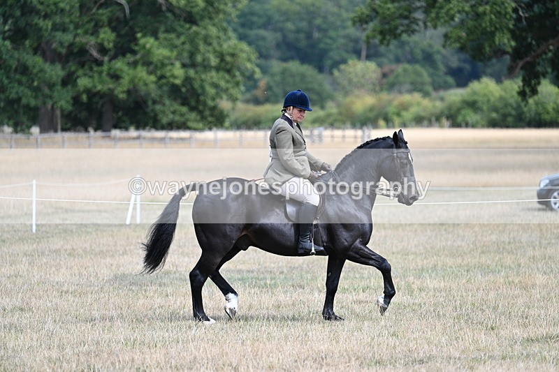 WJ7_6124 - Class 13 Ridden Veterans