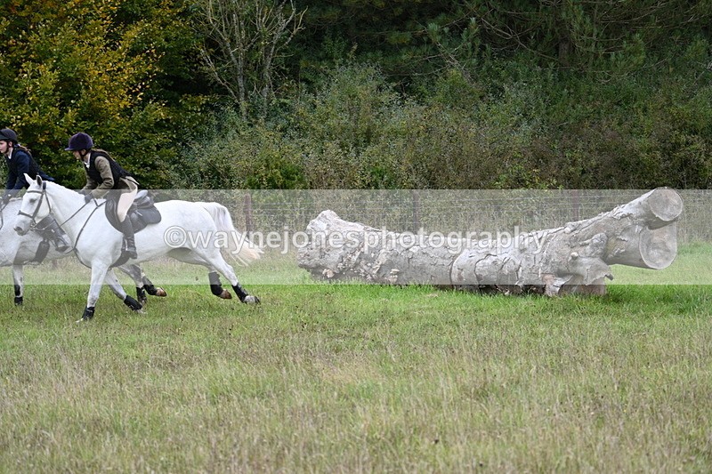 WJ7_3834 - Camera 1 Line 1