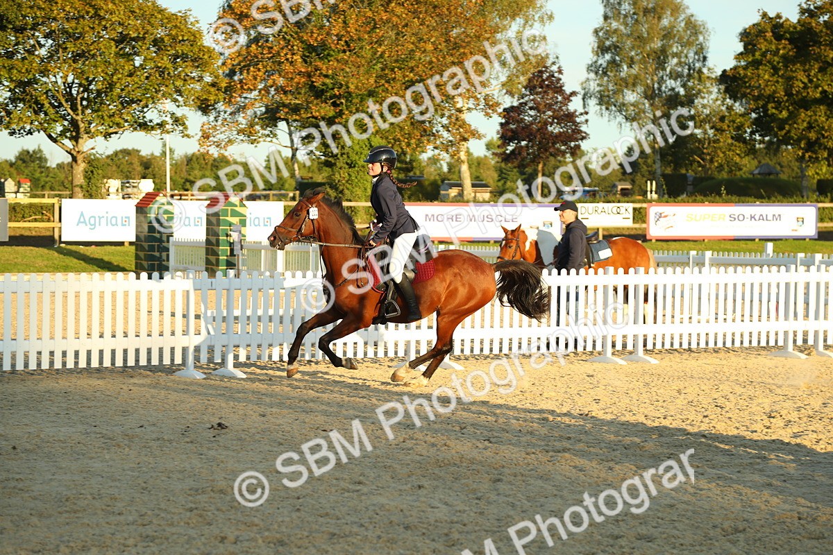 SBM_53953 - J8 - Junior Pony 65cm Championship