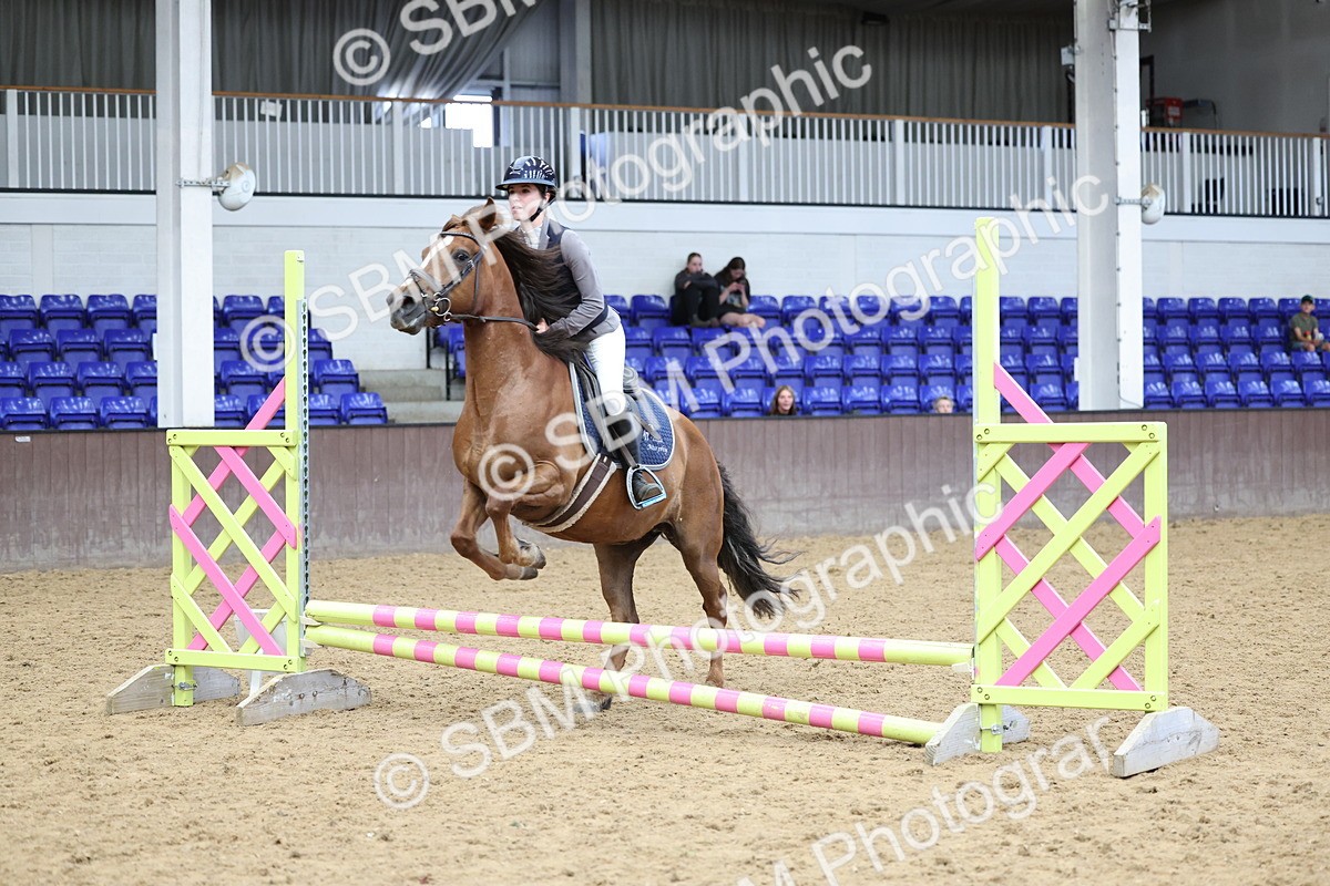 SBM_007440 - Class 2 - 50cm showjumping