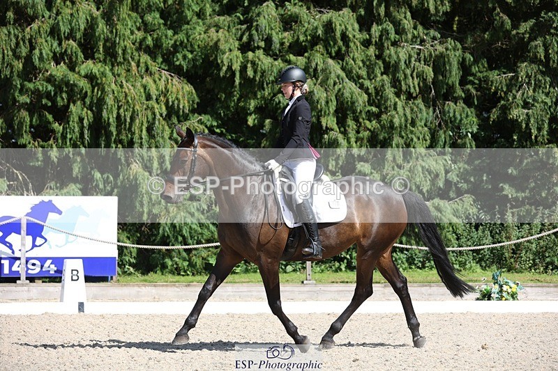 230811-154557-02521 - Cls 1 Prelim Bronze 15.00 to End