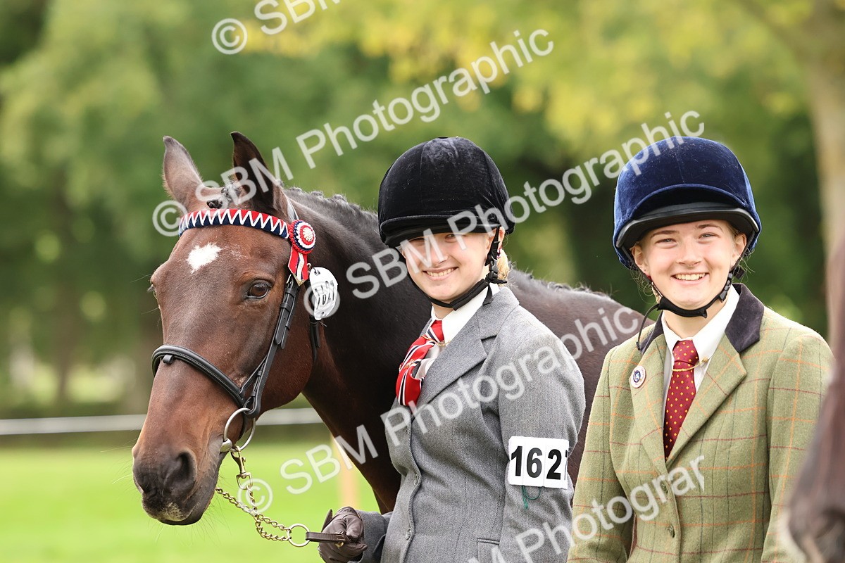 SBM_59968 - S36 - Rehabiliated Rescue Horse & Pony In Hand & Ridden