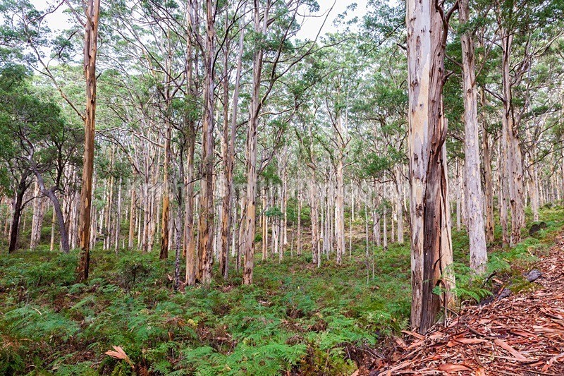 6SKJ4265 - Worldwide