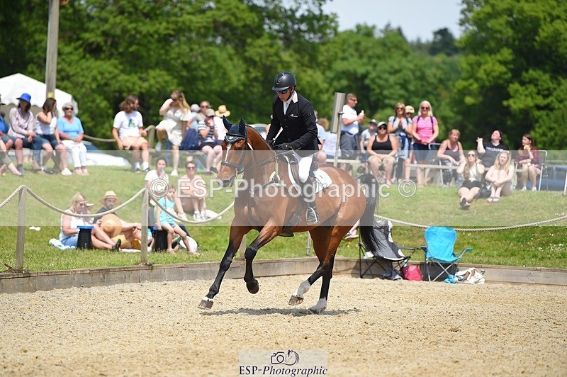 230528-121520-15607 - 312-J'ADORE_SALSA-Michael_Owen-SUNTrotUp+SJ