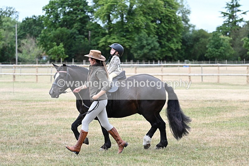 WJ7_9837 - Class 1 Lead Rein Pony