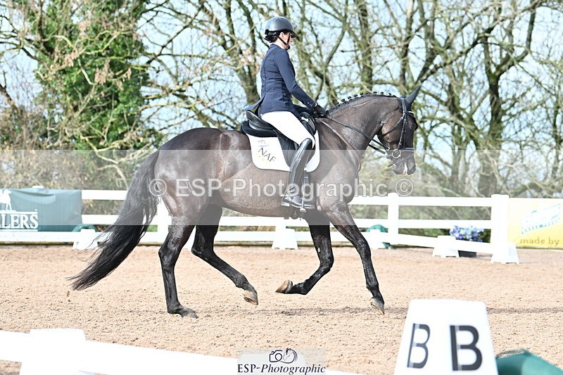 240218A-115750-06931 - 204-Elder.Klatzko-Dynasty.Hit