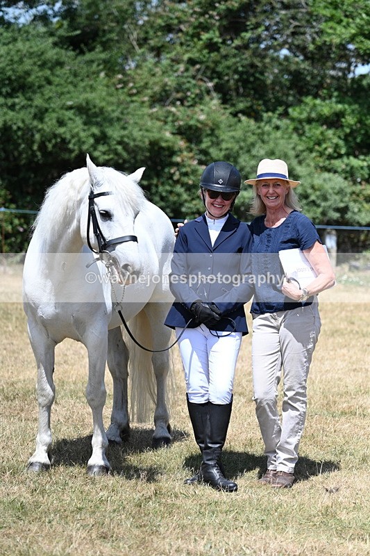 WJ7_2468 - Class 5a Most Handsome Gelding in hand (above 14.2hh)