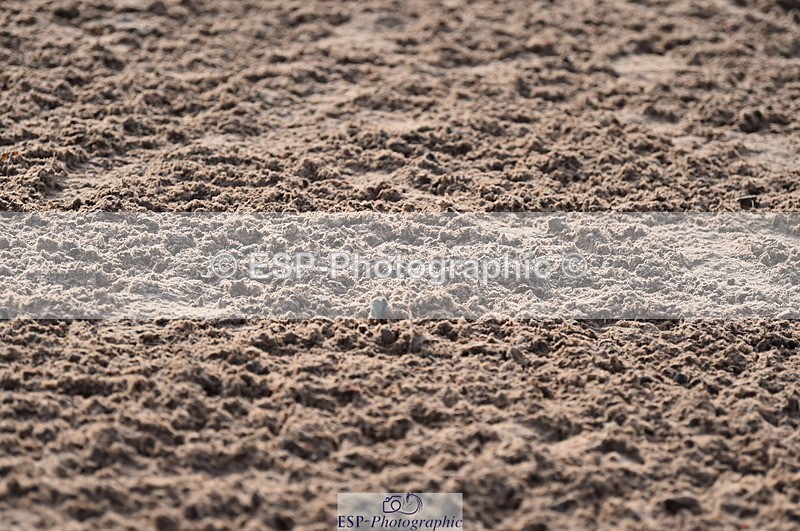 231028A-110534-00689 - Cls 2 British Novice & 80cm Open