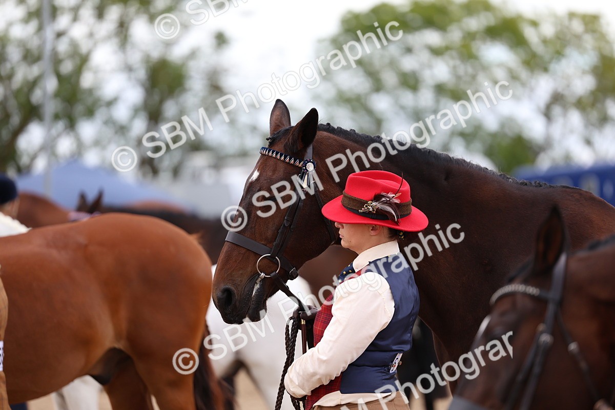 SBM_05098 - Class 27 - IH Competition Horse or Pony