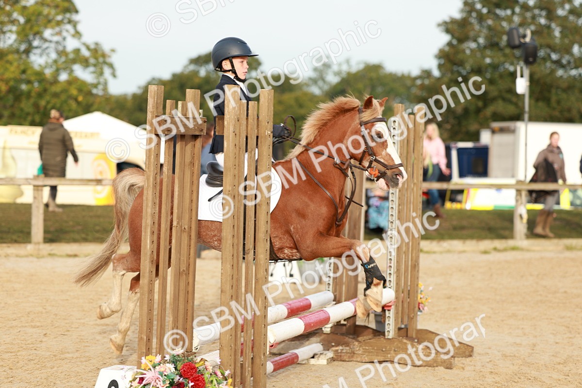 SBM_55528 - J11 - Junior Pony 50cm Championship