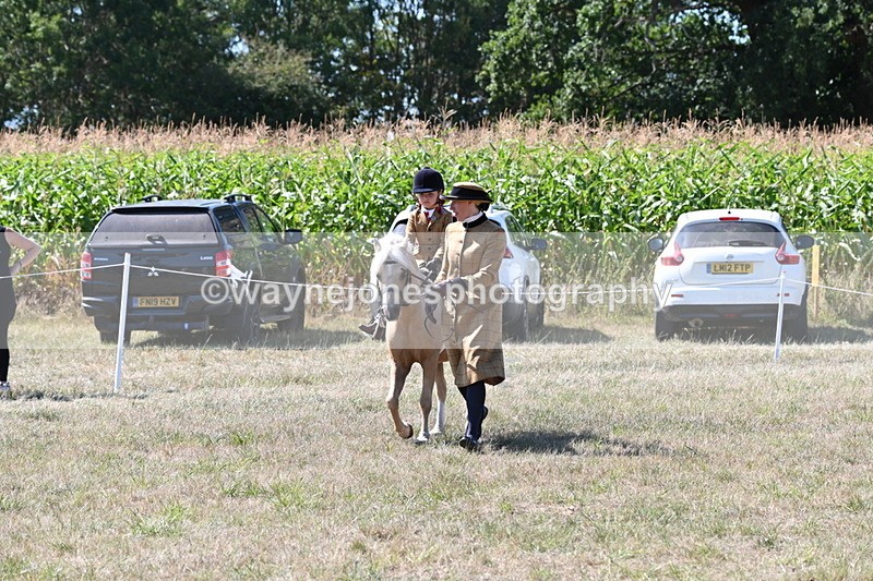 WJ6_8052 - Class 36 Lead Rein