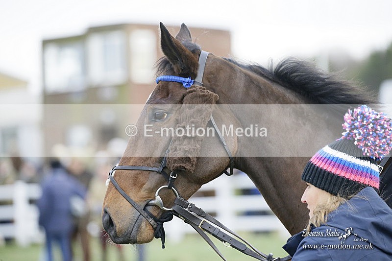 PtP 281121 0484 - Hursley Hambledon Point-to-Point Larkhill 28/11/21