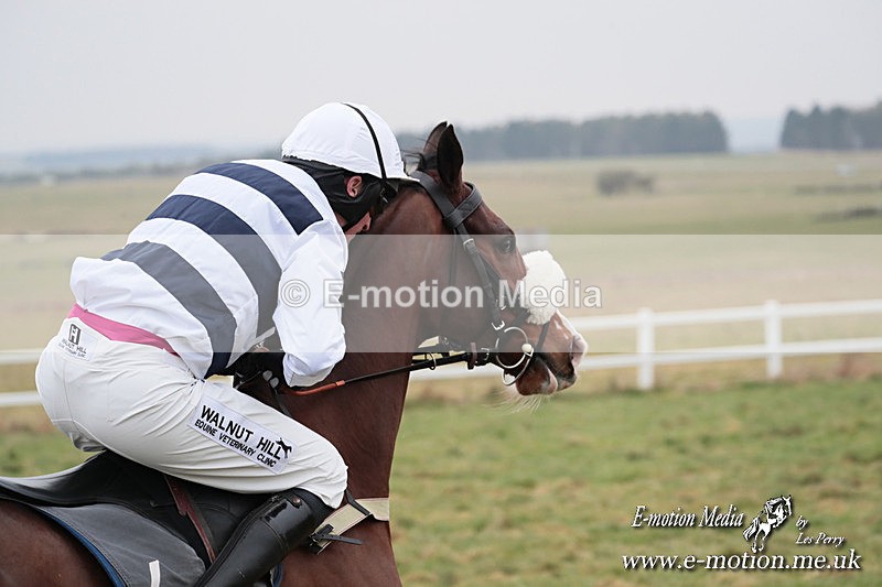 PtP 160225 480 - Combined Service Point-to-Point Races Larkhill 16/02/25