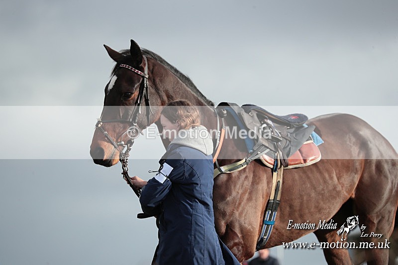 PtP 311223 390 - Larkhill Racing Club Point-to-Point 31/12/23