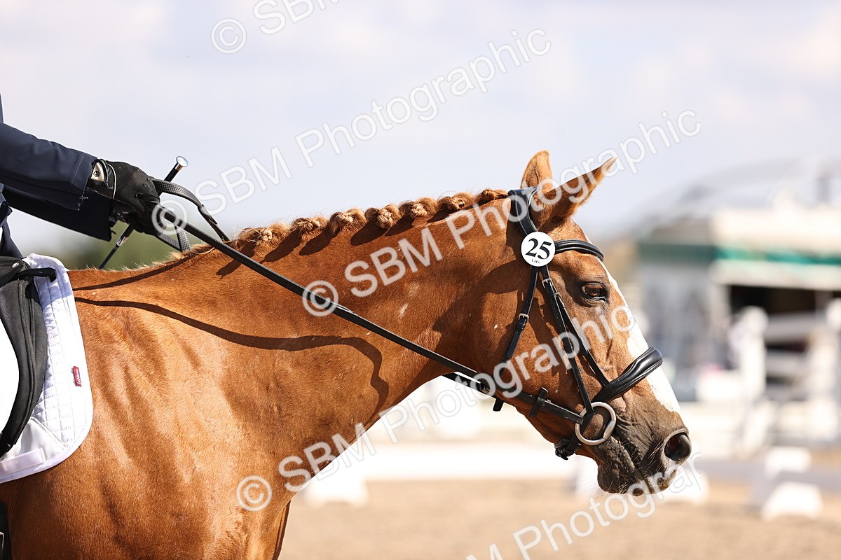 SBM_03557 - CLass 35 Intro 3