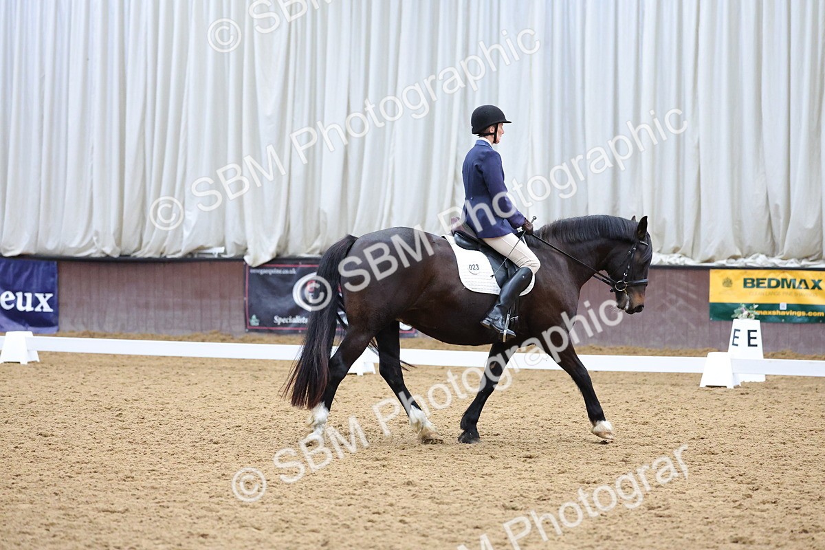 SBM_000933 - Class 3 - Prelim 2