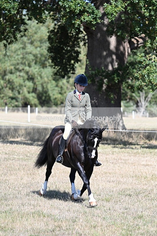 WJ7_3667 - Class 9 Mountain & Moorland Ridden