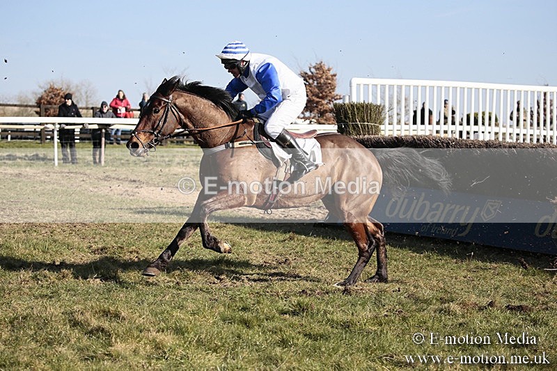 PtP 240218 404 - Vine & Craven Hunt Point-to-Point Barbury racecourse 24/02/18