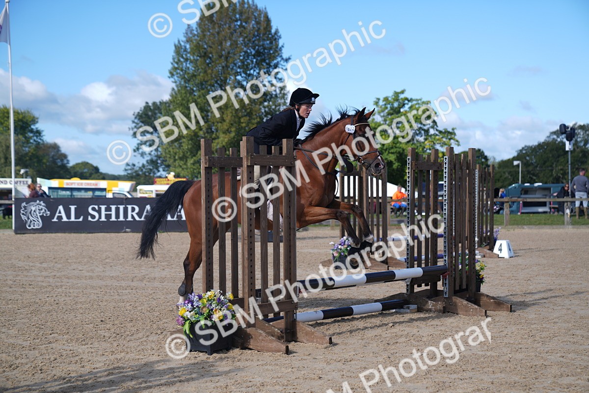 SBM_02358 - J54 Clear Round 45cm