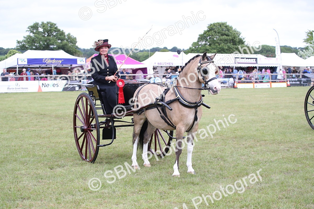 SBM_05865 - Class 12-15 - HOYS Private Driving