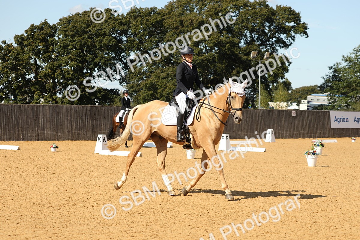 SBM_22309 - D17 - Grand Tour Championship - Novice 27
