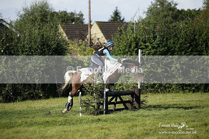  WWHT 031021 603 - WWEC Novice Restricted (0.80m) 18/10/20