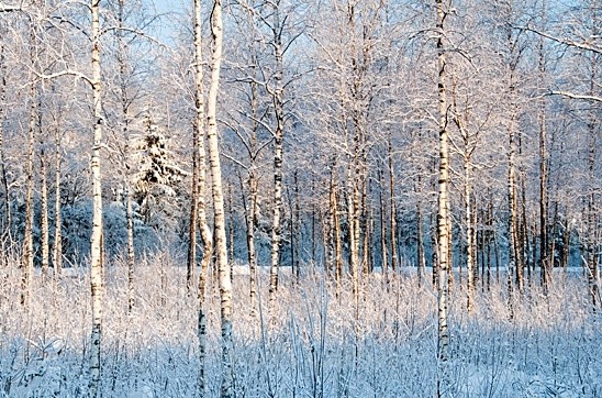  - Russia