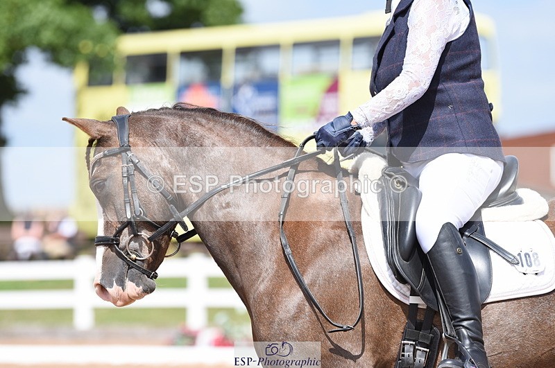 230701A-152930-07408 - Cls 9 Novice 28