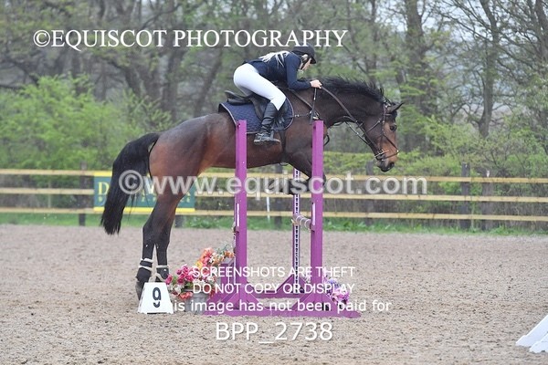 BPP_2738 - CLASS 4 Senior British Novice/ 90cm Open