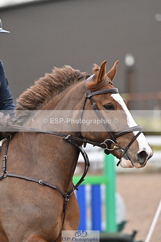 250221-091746-00073 - Cls 2 British Novice and 90cm Open